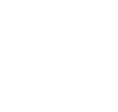 Non-toxic citrus formula